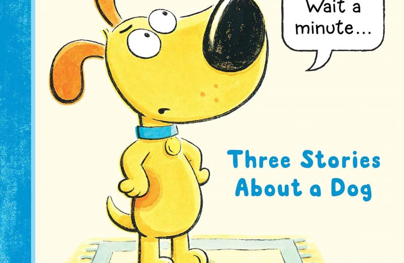 See the Cat: Three Stories About a Dog by David LaRochelle, illustrated by Mike Wohnoutka