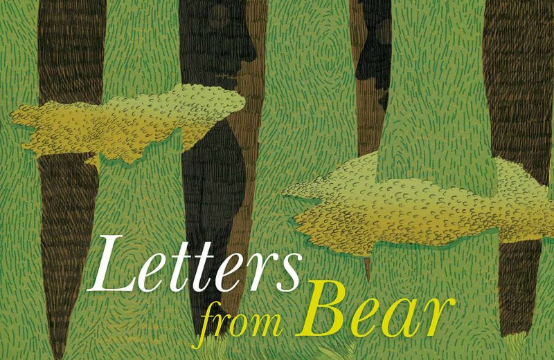 Letters from Bear by Gauthier David, illustrated by Marie Caudry