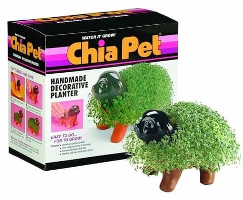 Chia Pet Grass Planter - Puppy
